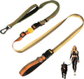 EVERKING hands free dog leash front view golden olive running belt setup