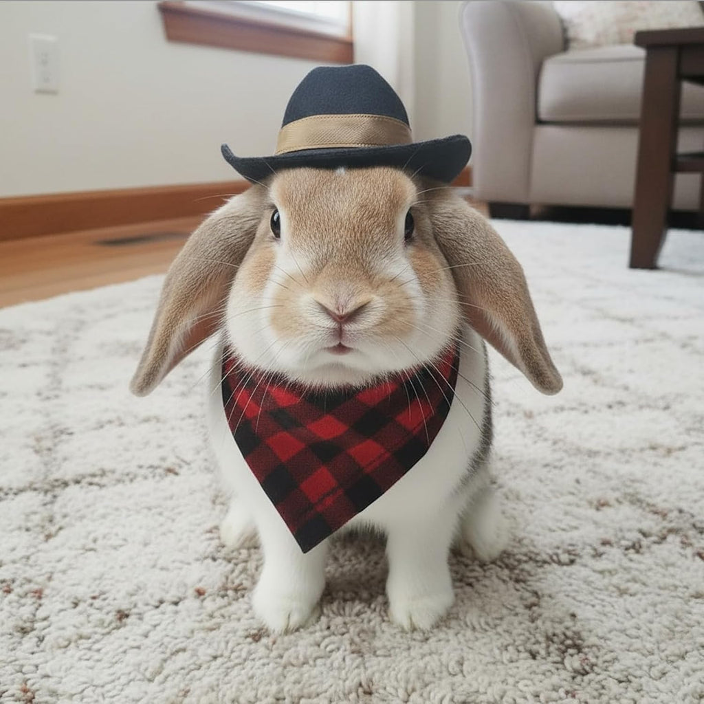 Hokable small pet holiday cosplay clothing accessories set