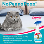 Aromatic cat training corrector spray bottle standing on hardwood surface