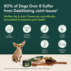 Wuffes veterinarian recommended dog joint supplement imported to India