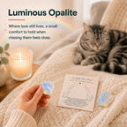 Pet Loss Sympathy Gift, Opalite Paw with Rainbow Bridge Card, in Loving Memory Keepsake, Pet Bereavement Comfort Gift, Pocket Hug for Dog Cat Loss & Grief Support for Pet Owners - Image 3