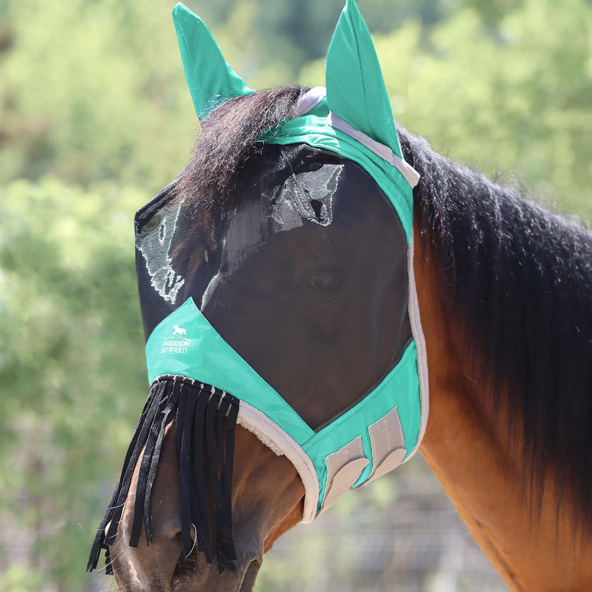 Harrison Howard CareMaster horse fly mask front view with ears