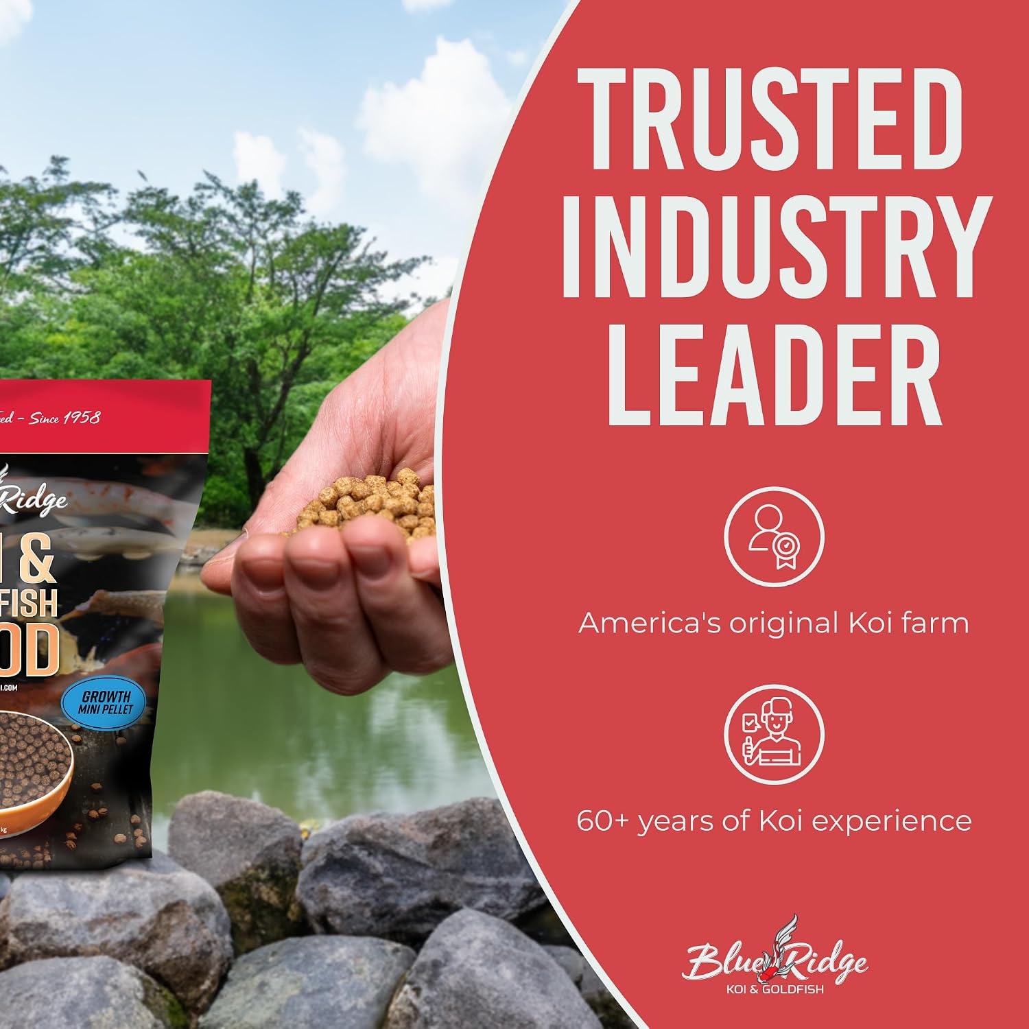 Blue Ridge mini pellet koi food for small goldfish