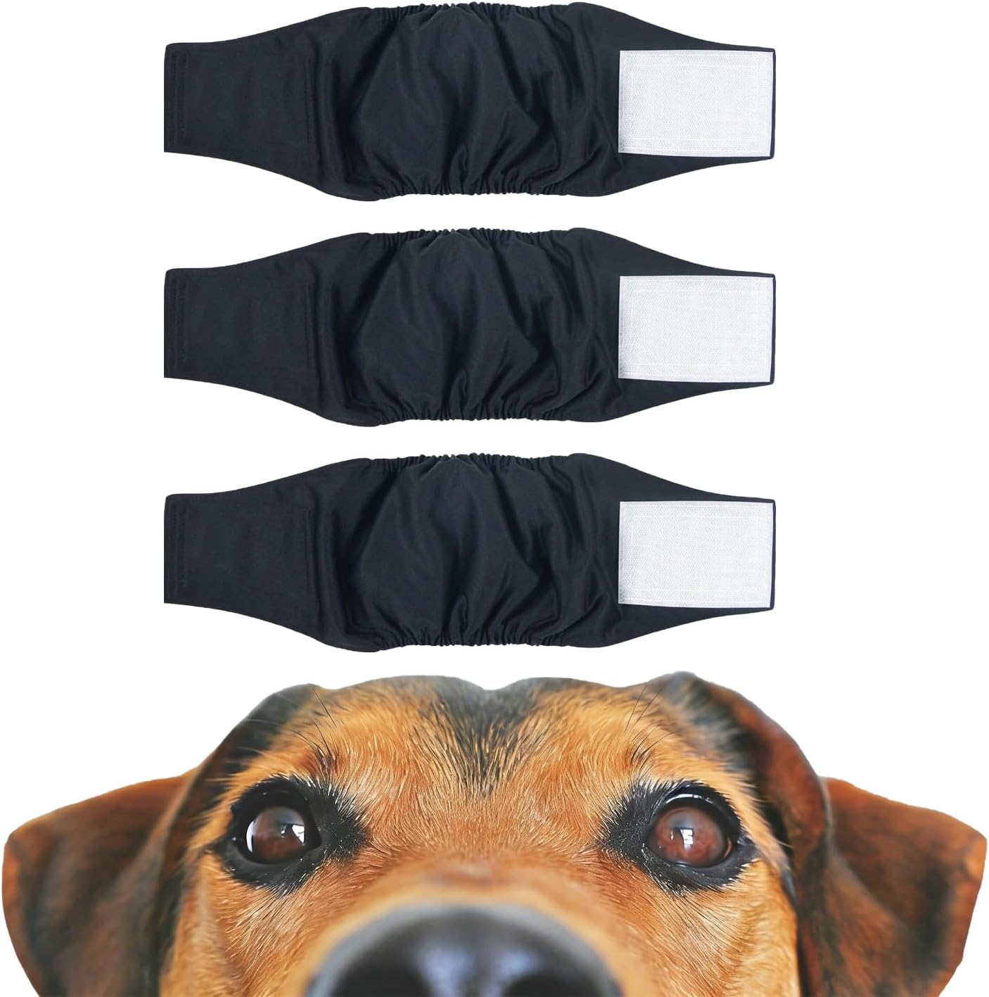 Generic male dog belly band 3 pack front view showing adjustable velcro closure