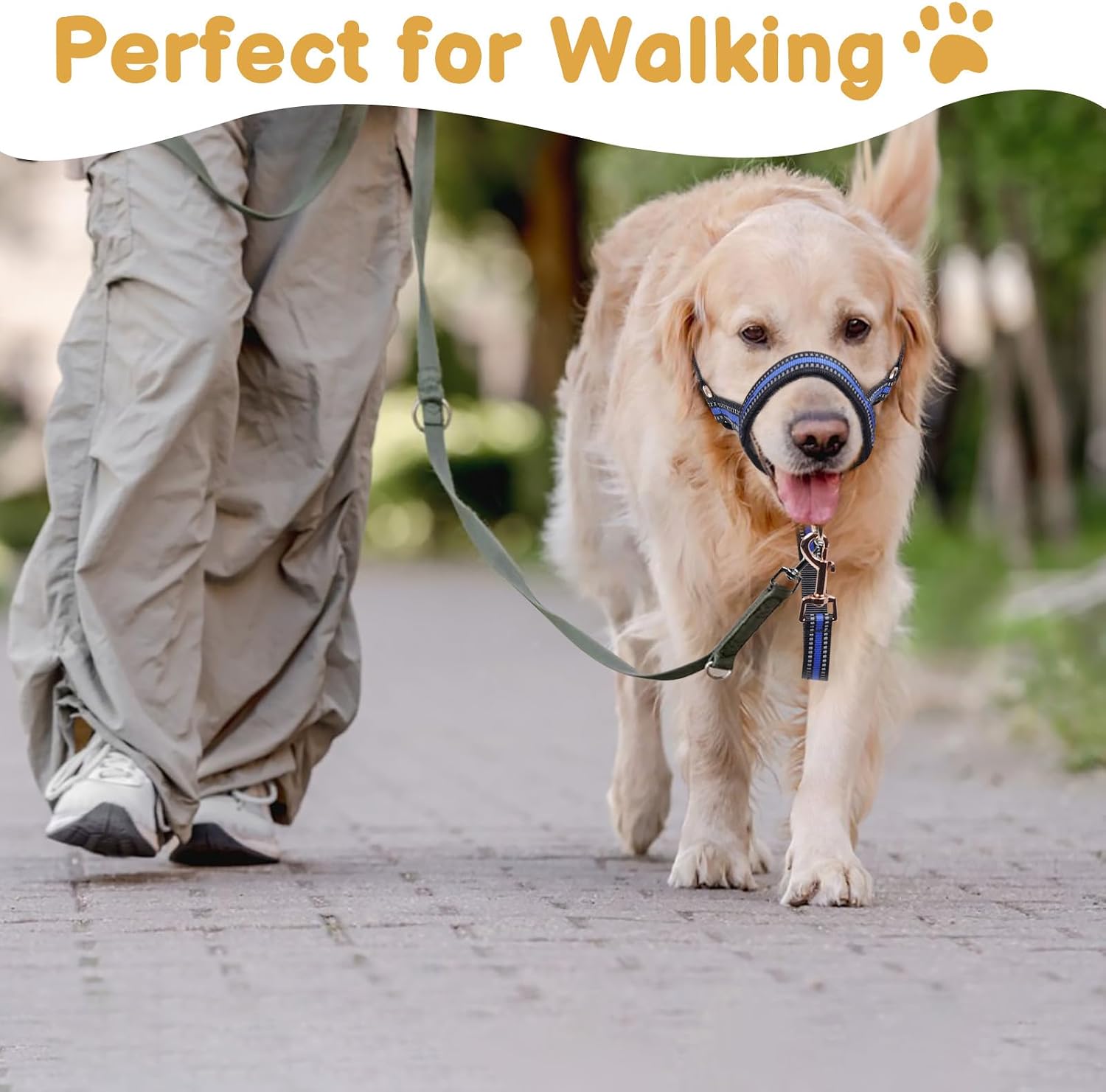 Barkless nylon muzzle leash for medium dogs