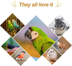 Full packaging display of Amzey bird treat for small parrots