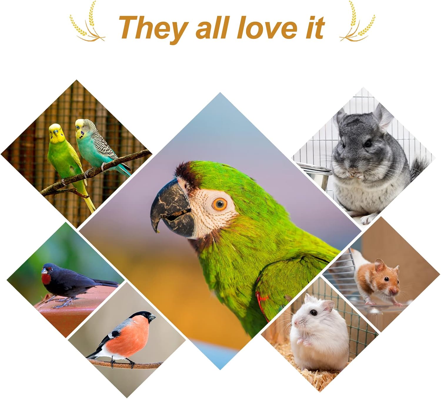 Natural non-GMO millet spray for small birds