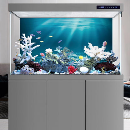 Authentic imported AWERT marine landscape scenery backdrop applied to a home terrarium setup.
