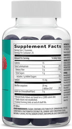 Amazon Basics Prebiotic And Probiotic Gummies dietary attributes panel