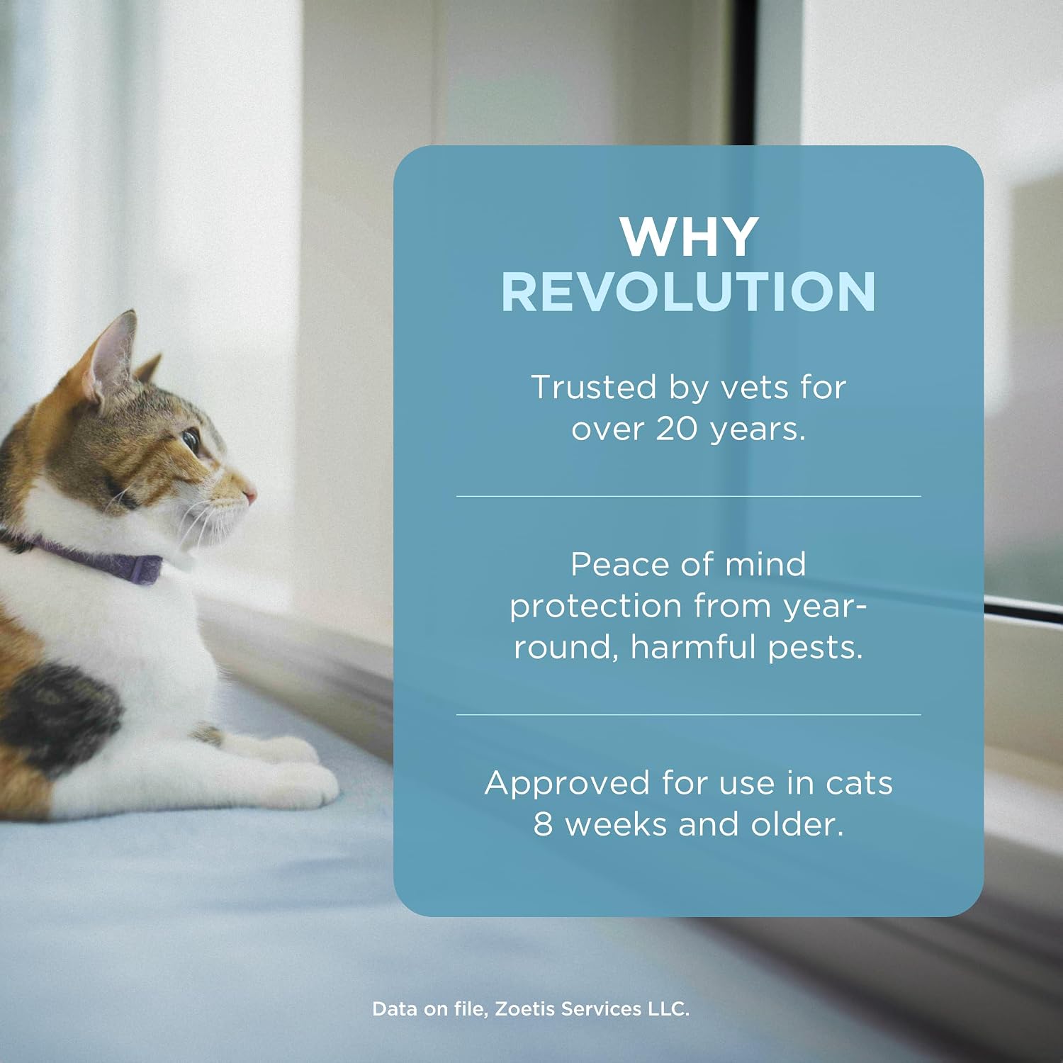 Six pack Revolution selamectin topical tubes for cats
