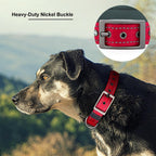Durable metal buckle mechanism on Plutus Pet dog collar