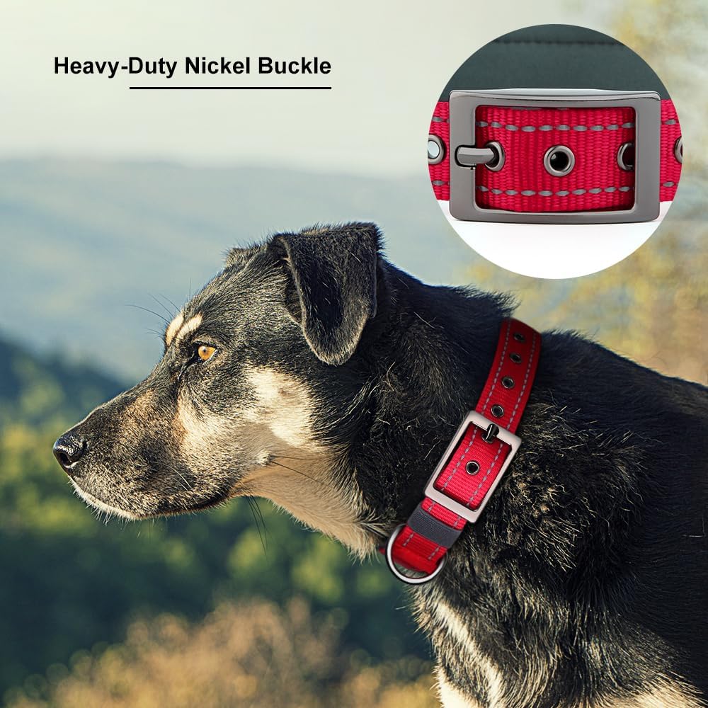 Durable metal buckle mechanism on Plutus Pet dog collar