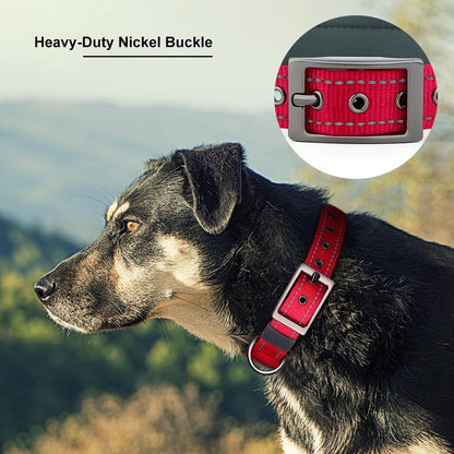 Durable metal buckle mechanism on Plutus Pet dog collar
