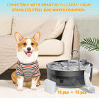 BTRSOLUS replacement filters and sponges for pet fountain