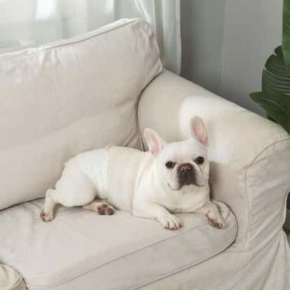 IMMCUTE small puppy diapers showing adjustable hook and loop fasteners