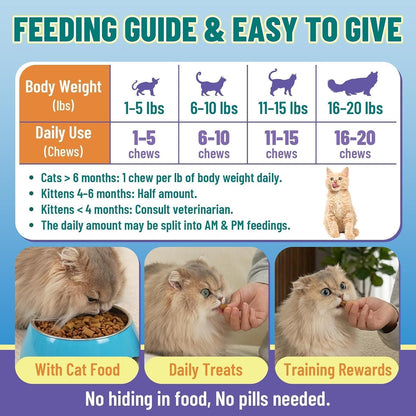 Wagmee cat chewable vitamins highlighting the 90-day supply value size