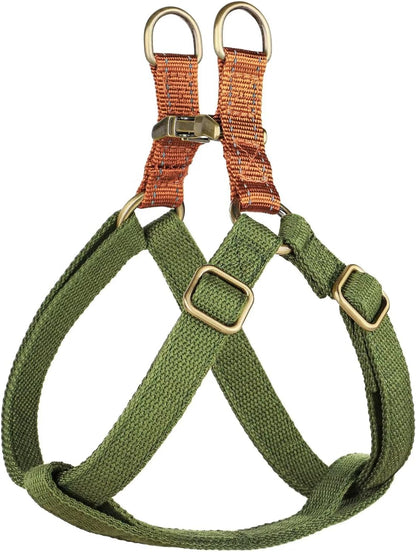 Didog step in dog harness green front view