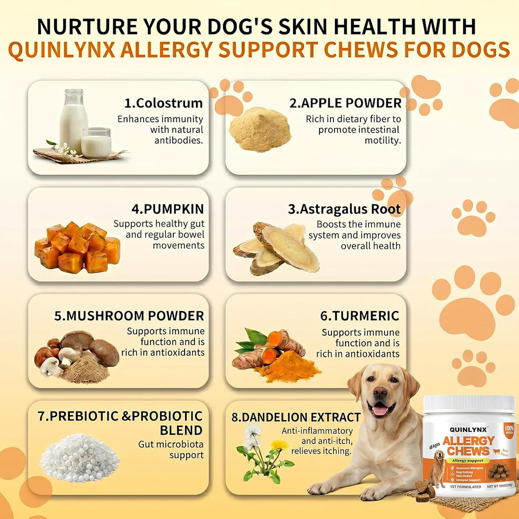Vet formulated probiotic and yeast support soft treats for canine skin health
