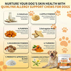 Vet formulated probiotic and yeast support soft treats for canine skin health