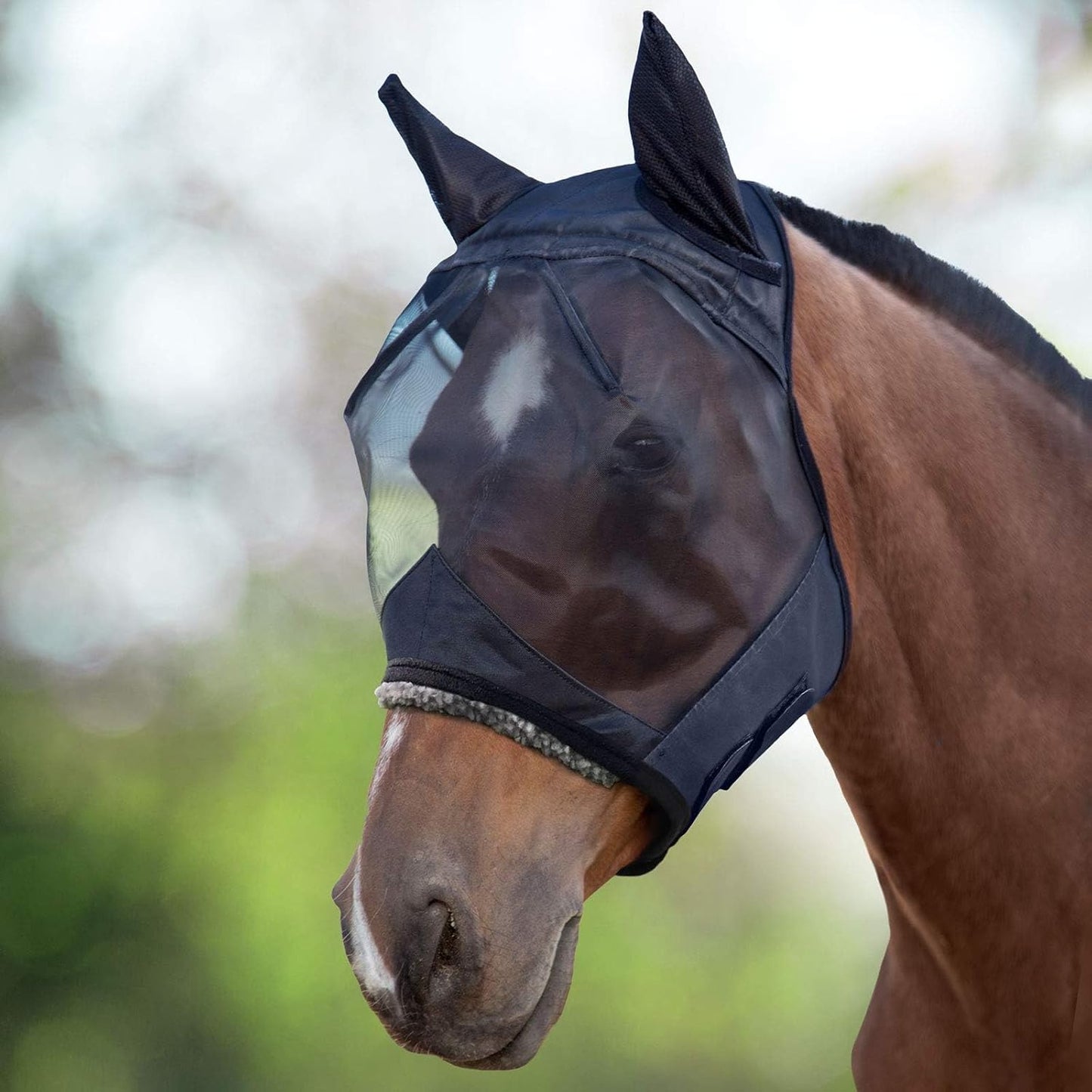 Harrison Howard CareMaster fly mask fitted on a horse