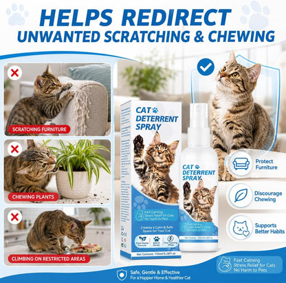 Using cat deterrent spray on a fabric sofa