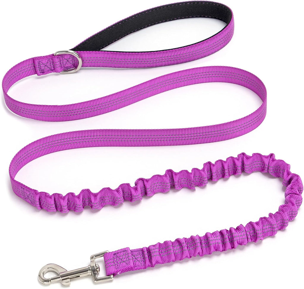 Bungee Dog Leash- 5FT Shock Absorbing & Reflective Nylon Leash| Anti-Pull Training for Small/Medium Dogs | 2cm Wide, 6 Colors (Black) - Image 13