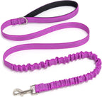 Bungee Dog Leash- 5FT Shock Absorbing & Reflective Nylon Leash| Anti-Pull Training for Small/Medium Dogs | 2cm Wide, 6 Colors (Black) - Image 13