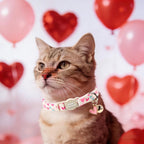 Unique Style Paws Valentine pink bow cat collar showing the adjustable slider extended to its maximum twelve-inch length.