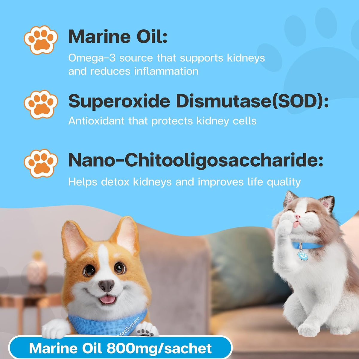VFCARE pet renal supplement containing marine oil and Nano-COS