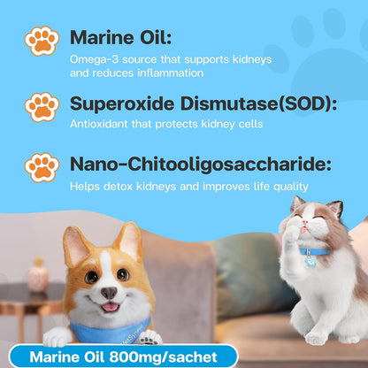 VFCARE pet renal supplement containing marine oil and Nano-COS