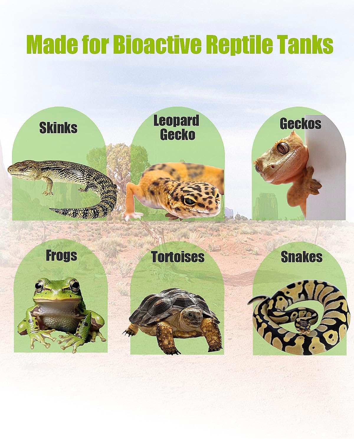 Flexible mesh substrate barrier for frog and gecko tanks.
