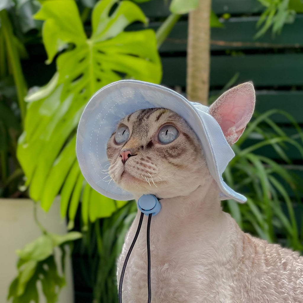 Mianhuatang pet baseball cap laid flat on a surface