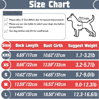 Side profile of small dog in stylish summer pet shirt