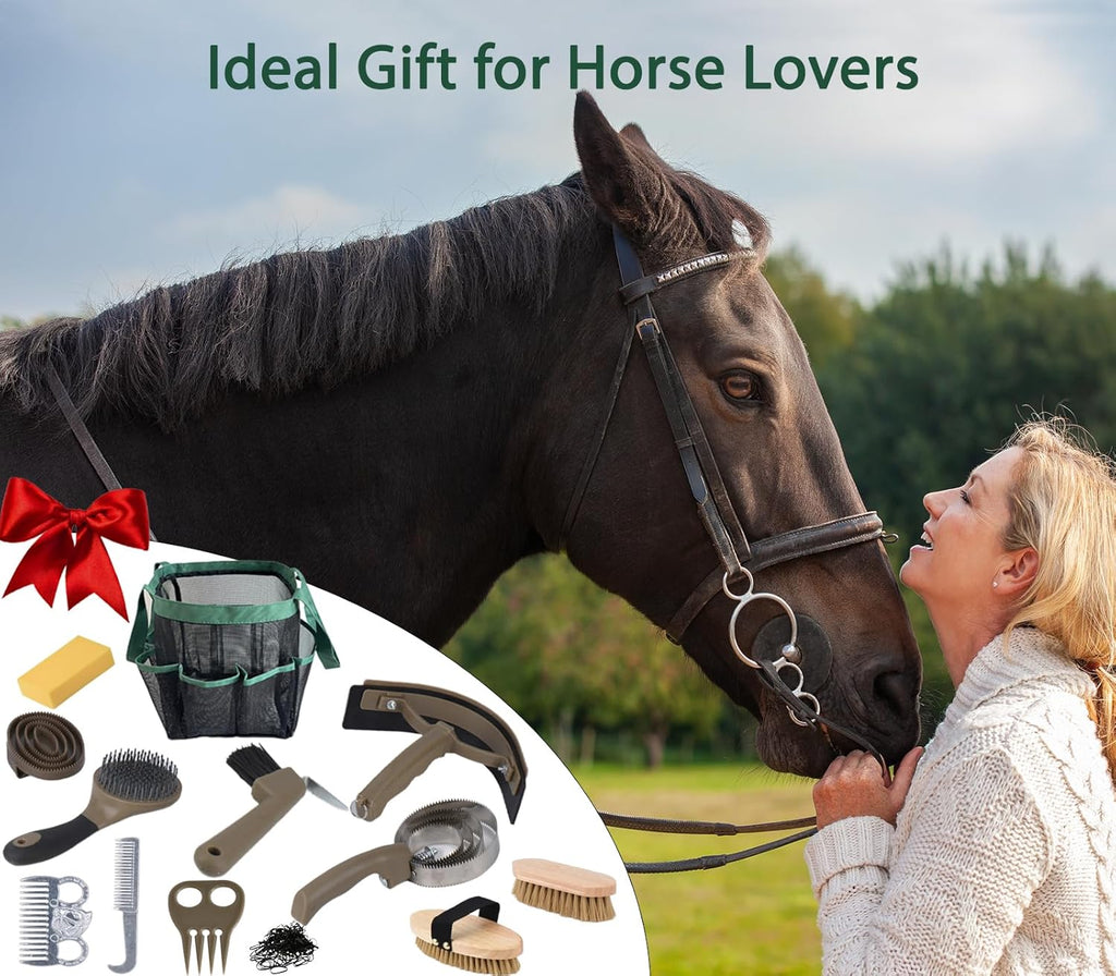Terpup horse grooming sweat scraper and curry comb