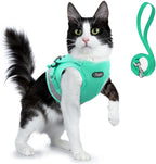Supet turquoise cat harness and leash set front view