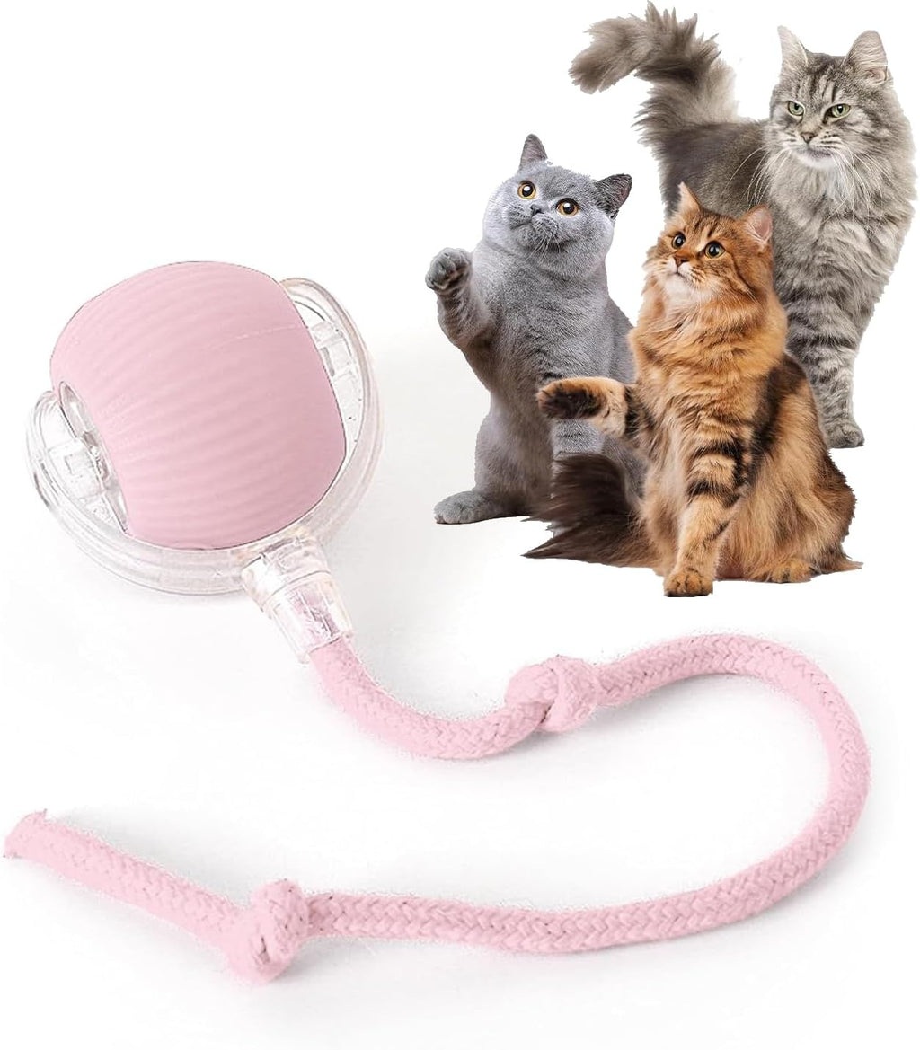 Rocfish Durable Interactive Cat Toys for Indoor Cats, Smart Automatic Cat Chase Ball Toy, Upgraded Speedy Tail Kitten Toy for Bored Indoor Adult Pets (Red) - Image 10