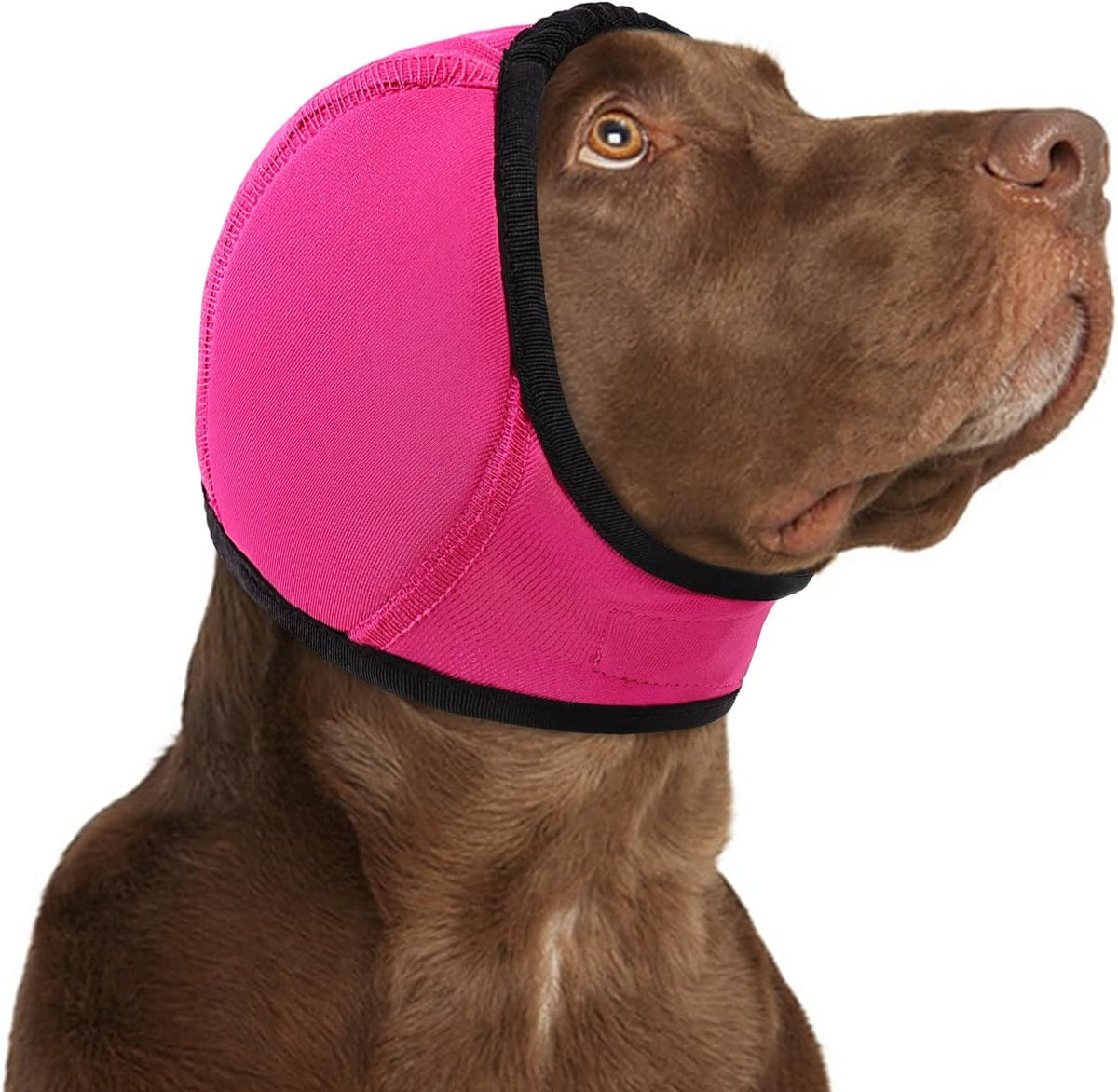 KOESON Dog Calming Hoodie - No Shake Ear Wraps for Dogs, Anxiety Relief & Noise Protection, Water Resistant Pet Ear Cover Muffs for Firework, Grooming, Thunderstorms, Swimming, Bathing, Grey L - Image 9