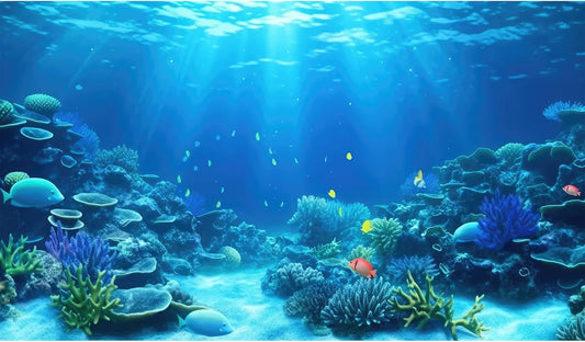 CaterRina underwater aquarium background front view coral reef scenery