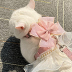 Pink cat harness and leash set on display