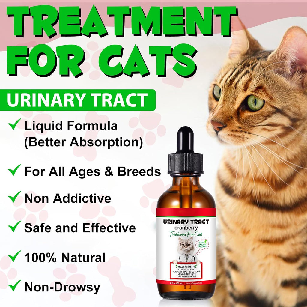 Pet owner administering kidney stone support drops to a cat