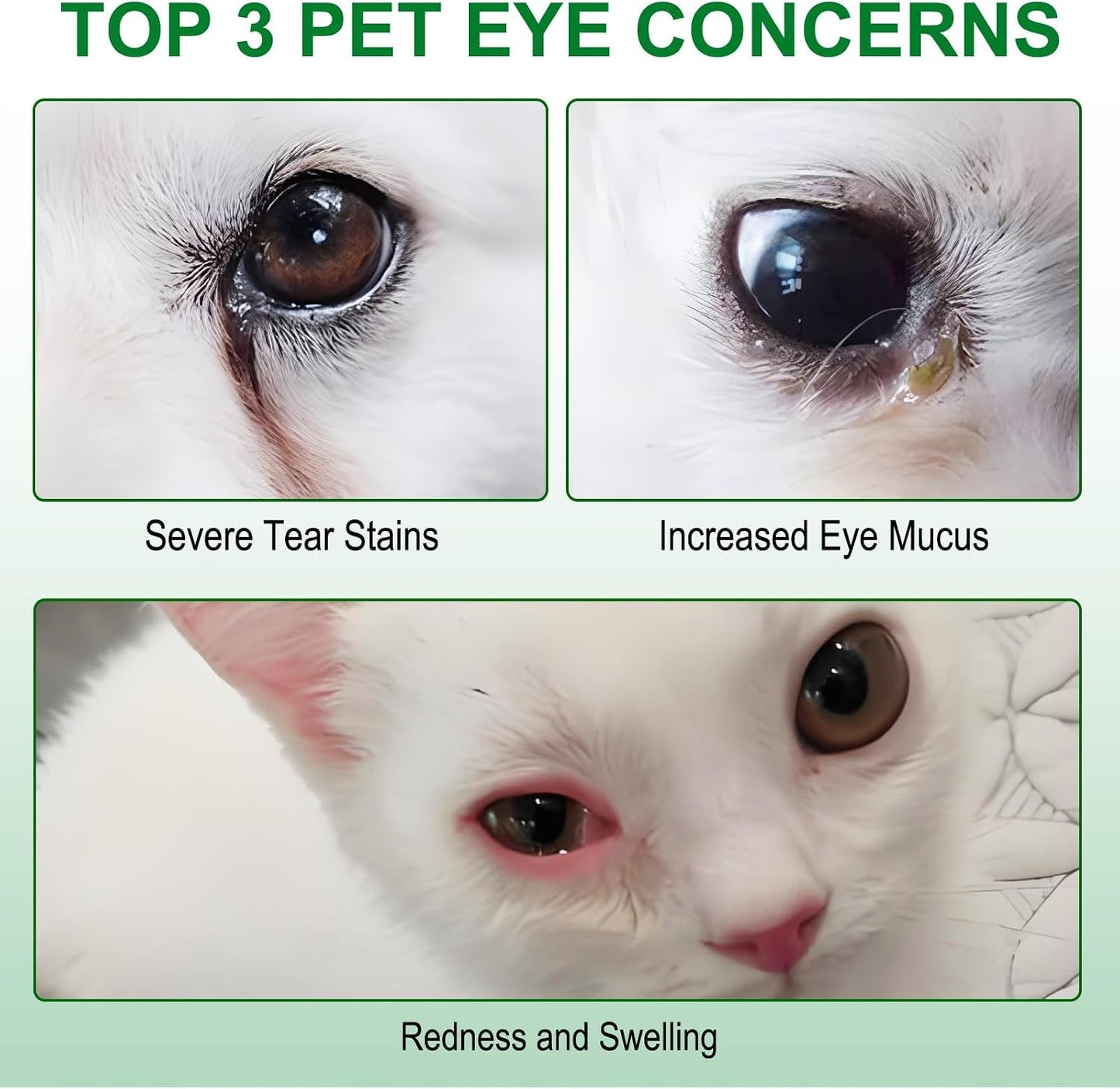 Pre-moistened hypoallergenic eye wipes for dogs and cats being pulled out of the container dispenser