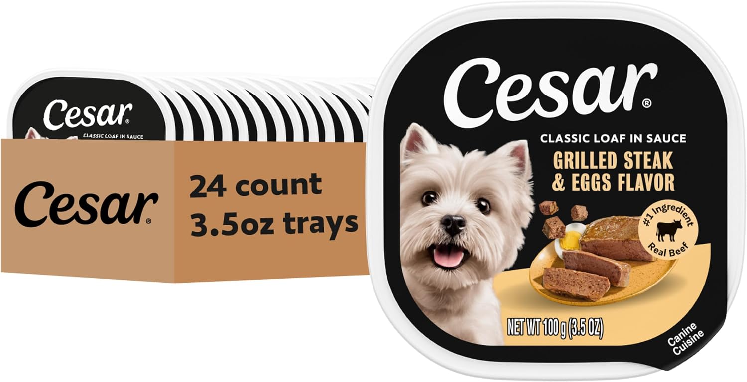 Cesar Classic Loaf in Sauce Adult Wet Dog Food Filet Mignon, 3.5 oz. Easy Peel Trays, 24 Count (Pack of 1) - Image 14