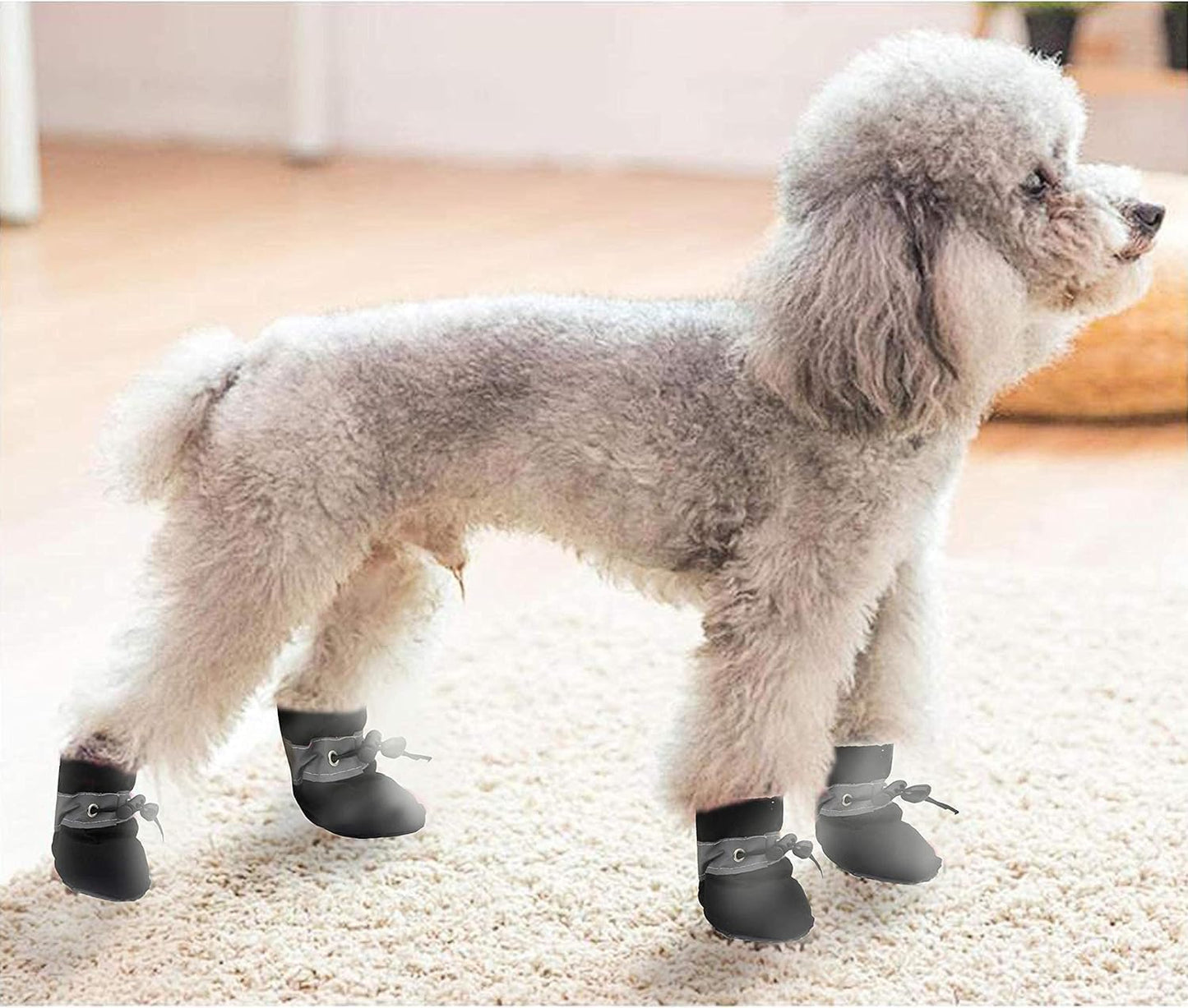 Adjustable elastic strap dog snow shoes