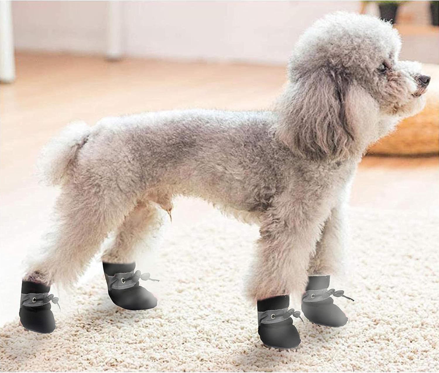 Adjustable elastic strap dog snow shoes