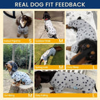 T'CHAQUE authentic imported dachshund apparel packaging view.