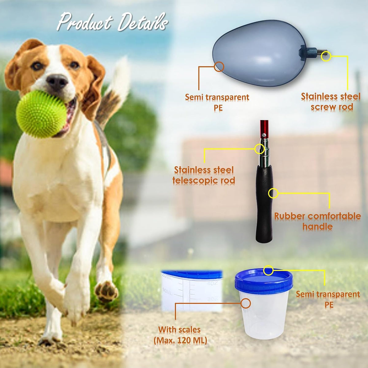 QMARK non invasive dog pee catcher disassembled for easy hygienic cleaning
