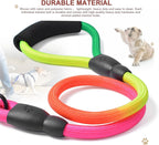 Authentic USA imported multi dog walking accessory for small and medium breeds