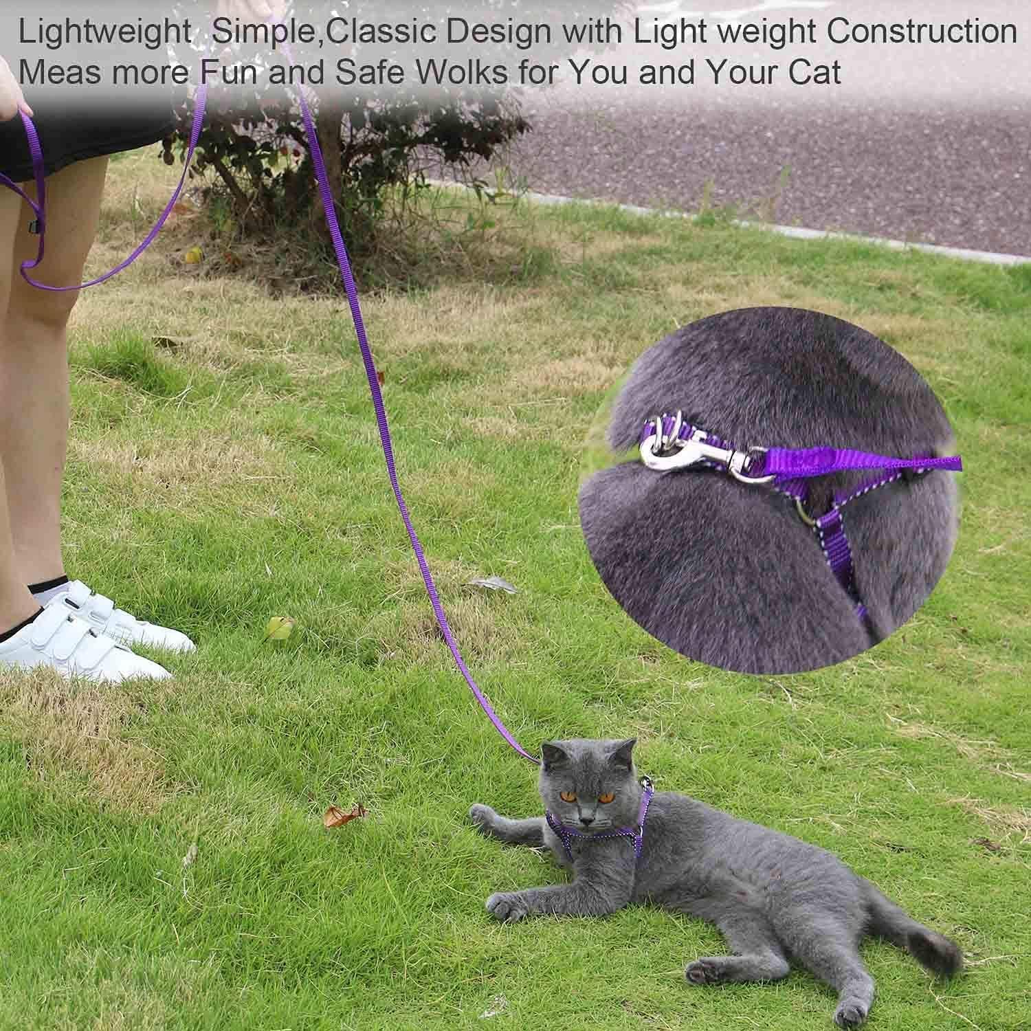 Purple training leash for small medium dogs collar hook view