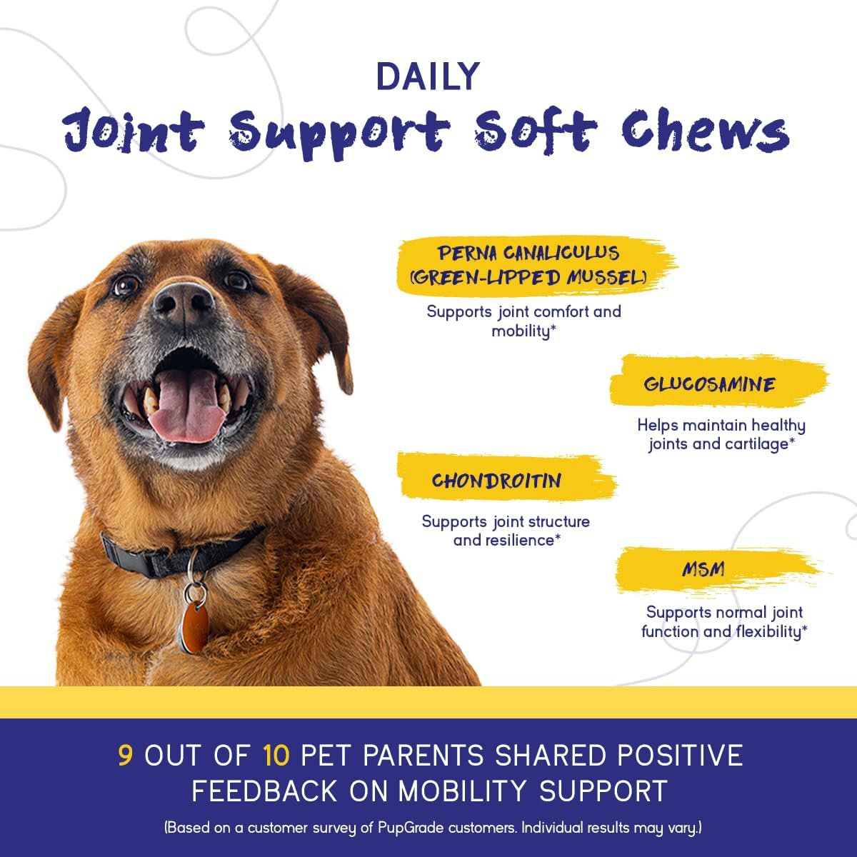 PupGrade sixty count beef flavored soft chews for canine cartilage and flexibility