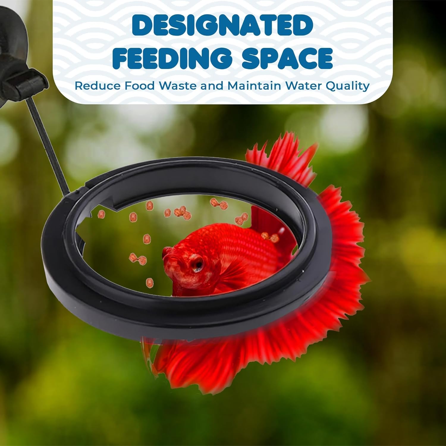 SunGrow fish feeding ring adjusting to water levels in a betta tank